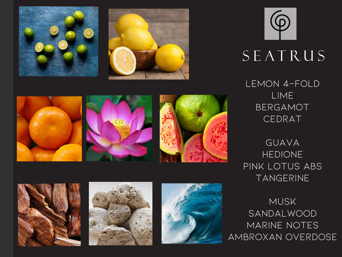 SEATRUS 50 ml EDP