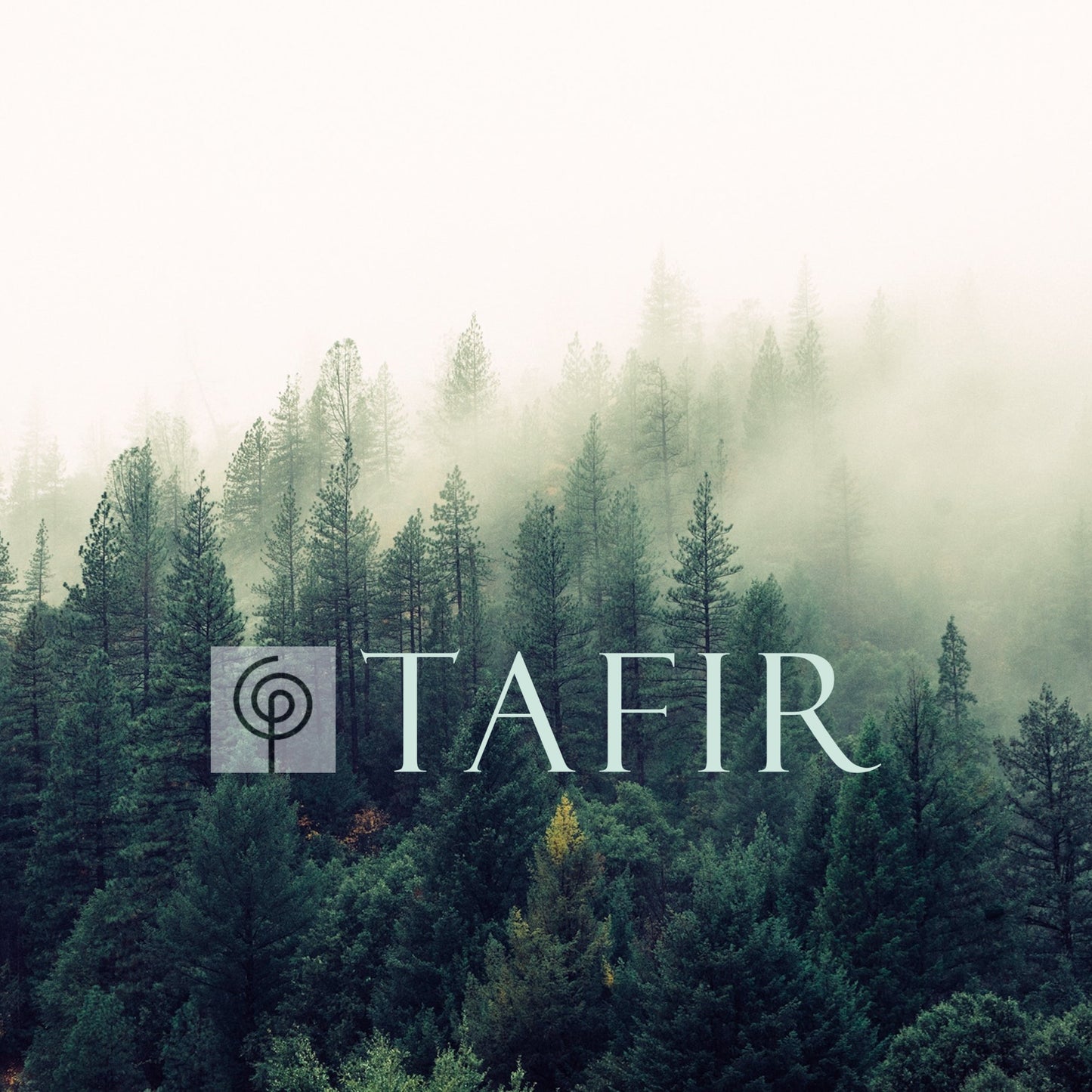 TAFIR 50ml EXTRAIT